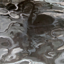 Marja Bonada – Joutsen, akryyli paperille, 223 x 150 cm, 2020