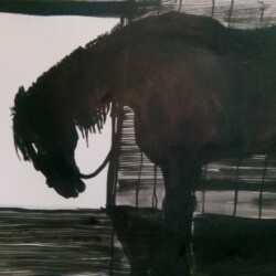 Marja Bonada – Hevonen 1, tussi, 30 x 42 cm, 2020